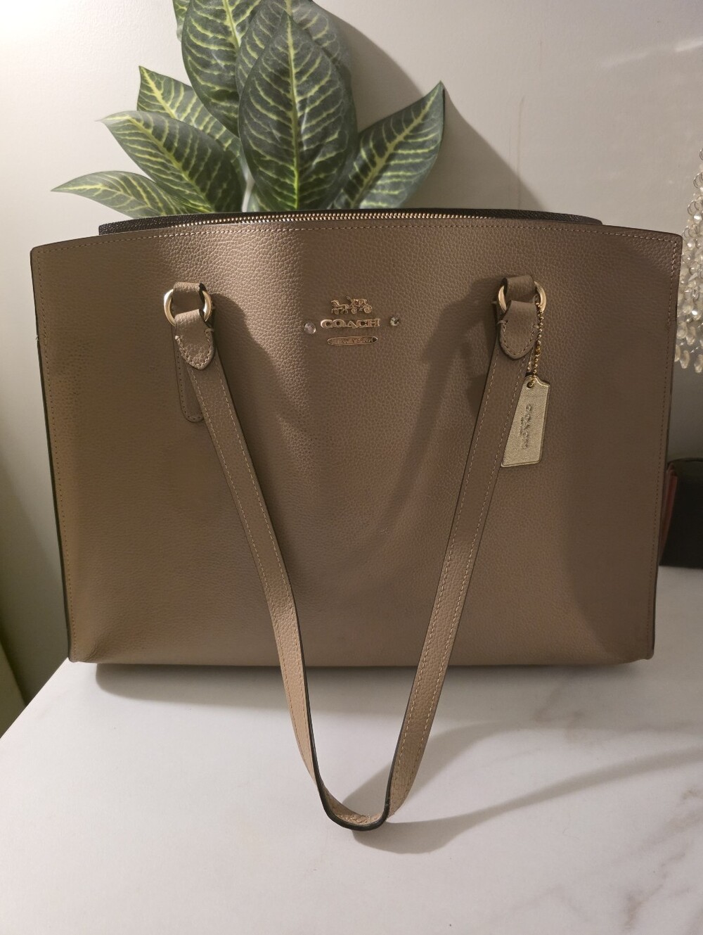 Coach Tote Bag